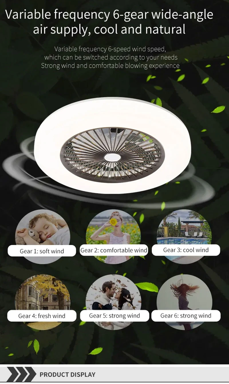 LED Light 6 Speed Wind Ceiling Lamp with Remote Control Ceiling Lights with Fan