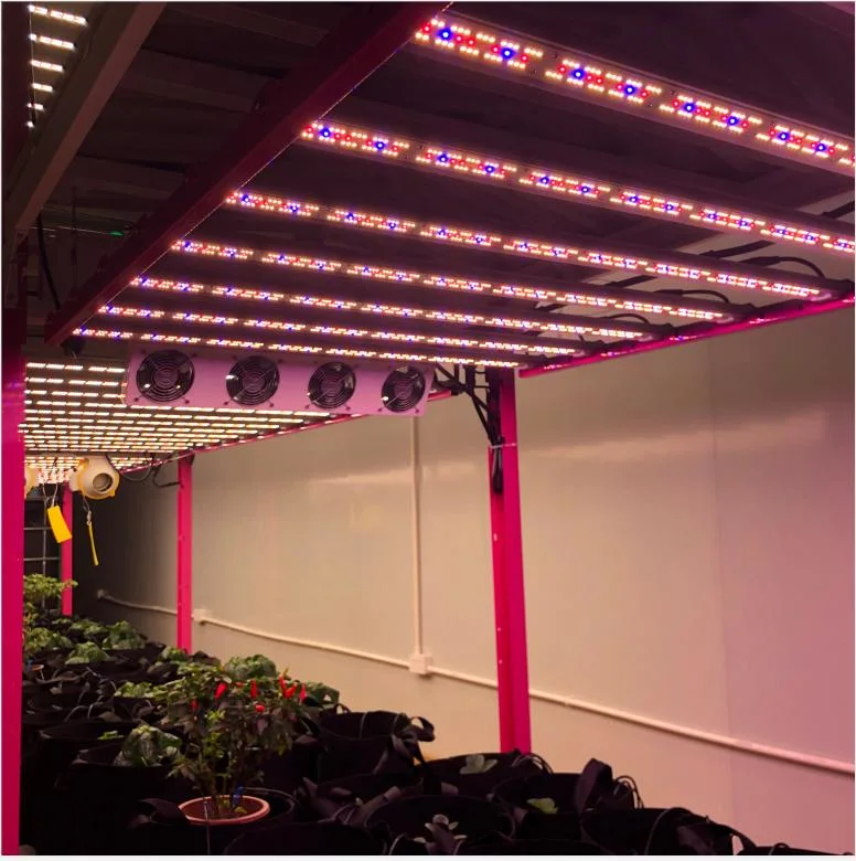 Replace 1000W HPS HID Grow Light Commercial 8 Bar 1000 Watt Samsung Lm 301b 301h LED Grow Light Bar Strip Grow 1000W