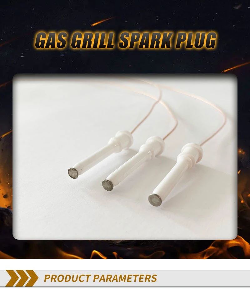 Hot Sale Gas Oven Cooker Spark Ceramic Igniter Wire Spark Plug Cooktop Burner Ignitor Igniter with Cable 2 Pins Stove Spark Plug