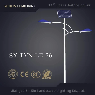 Cotización para HID 80W 100W 150W Mejor precio LED Farola solar Brazo doble individual
