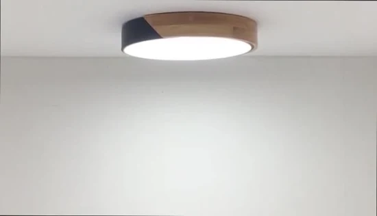 Luz LED Lámpara de techo de luz LED Diseño simple moderno para sala de estar de apartamento