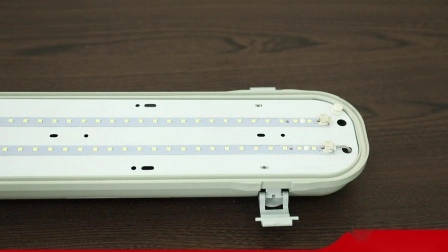 Aprobado por TUV/CE/CB Accesorio de iluminación a prueba de agua IP65, Luz LED de prueba triple, Luz LED de prueba triple, Luz hermética al vapor, Luz LED a prueba de agua, Luz resistente a la intemperie