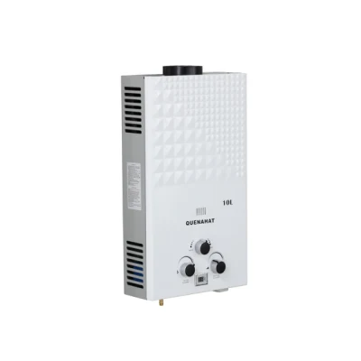 Calentador de agua de gas de escape forzado 10L Encendedor CKD fácil de usar