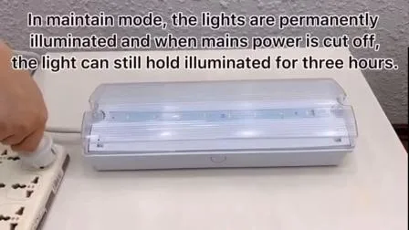 Luz de emergencia LED de alta calidad de 4,5 W con el precio más bajo de fábrica